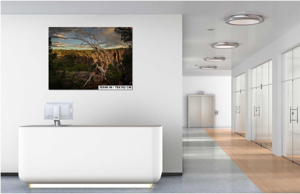 Modern office interior with a large TV screen displaying a nature scene.