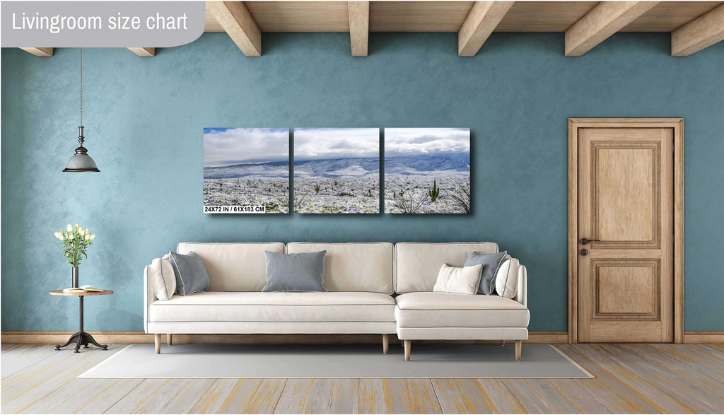 Saguaro National Park Print – Winter Saguaro Desert Wall Art With Snow