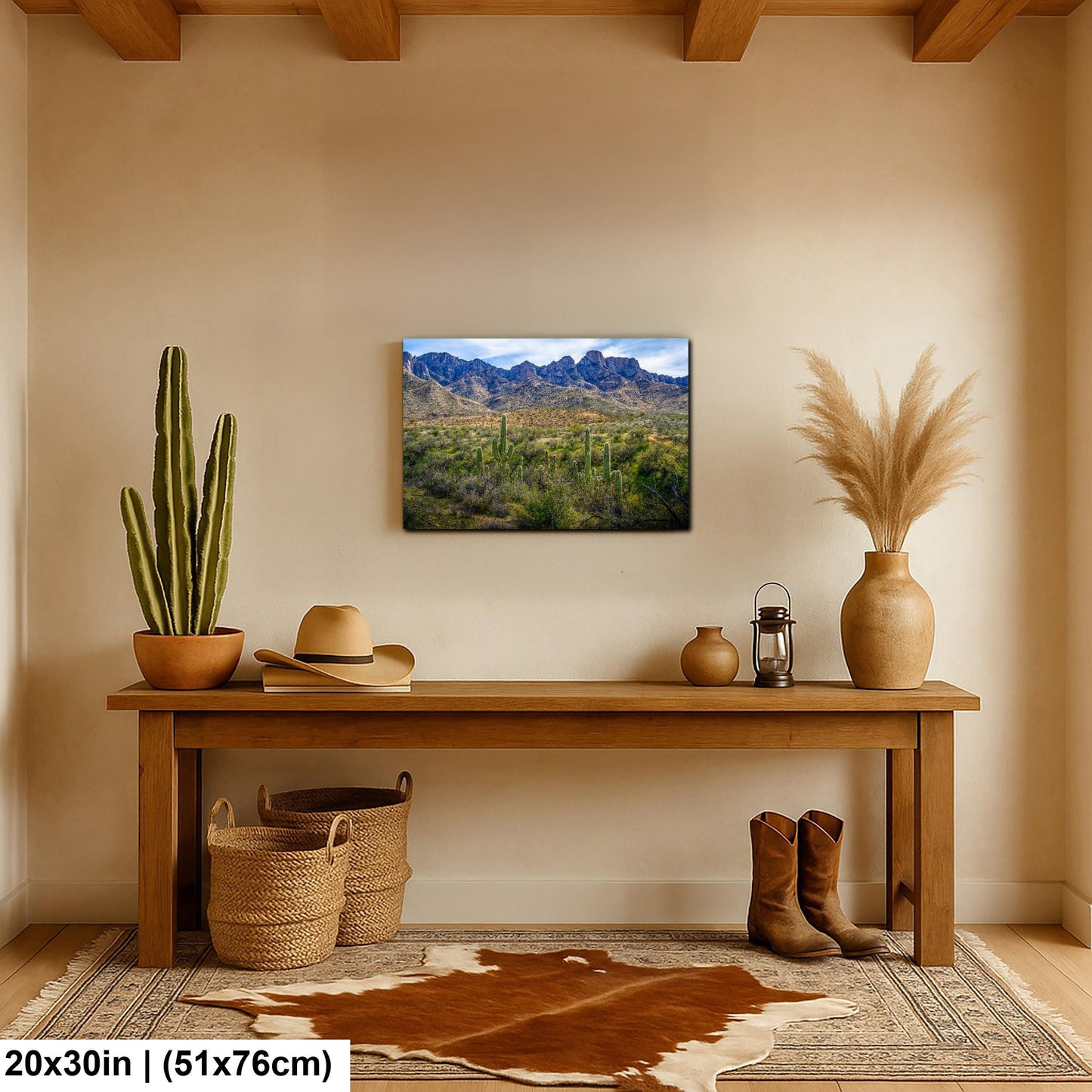 Catalina State Park Saguaros with Rocky Mountain Peaks - Tucson Arizona Sonoran Desert Photography Print