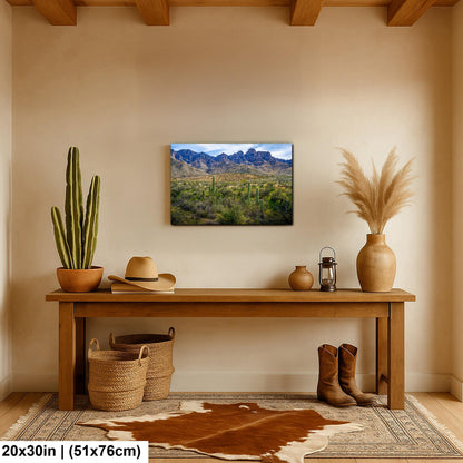 Catalina State Park Saguaros with Rocky Mountain Peaks - Tucson Arizona Sonoran Desert Photography Print