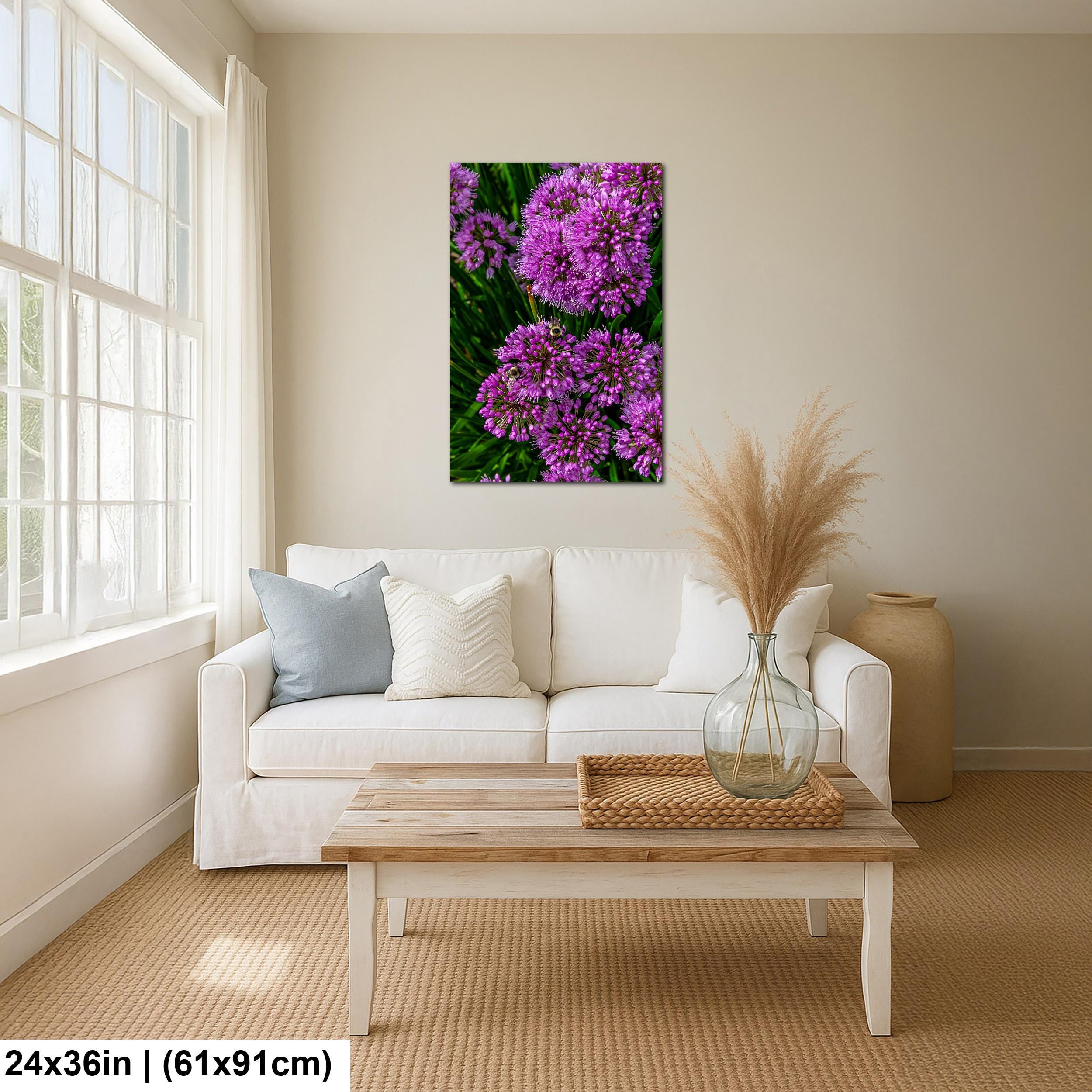 Purple Allium Blooms: Botanical Macro Flower Garden Photography Wall Art