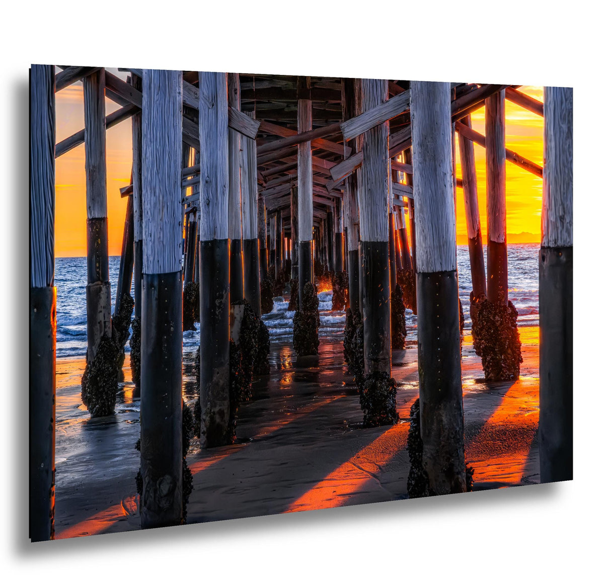 Beneath the Pier: Newport Beach California Sunset Photography Wall Art