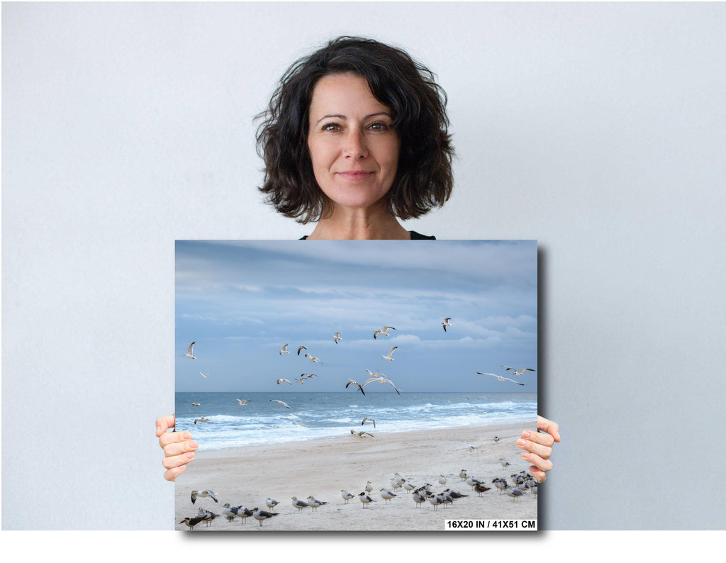 Seagulls Over Quiet Amelia Island Coastal Beach Florida Print Wall Art Photography Aluminum/Acrylic/Metal/Canvas Seascape Wildlife Decor
