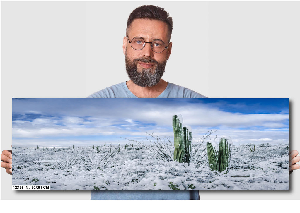 Saguaro National Park Winter Print: Arizona Desert Snow Photography