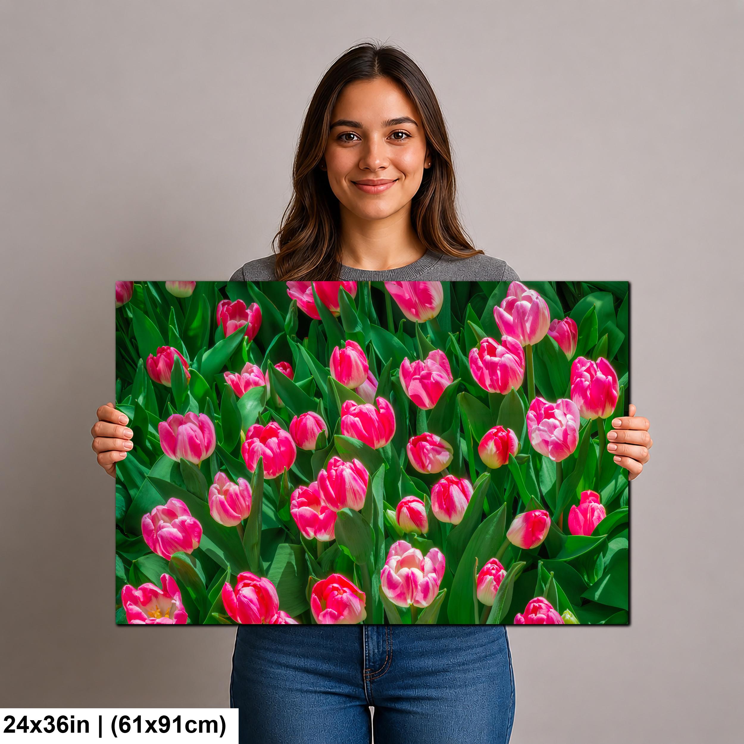 Pink Harmony: Pink Tulips Las Vegas Nevada Flower Photography Wall Art