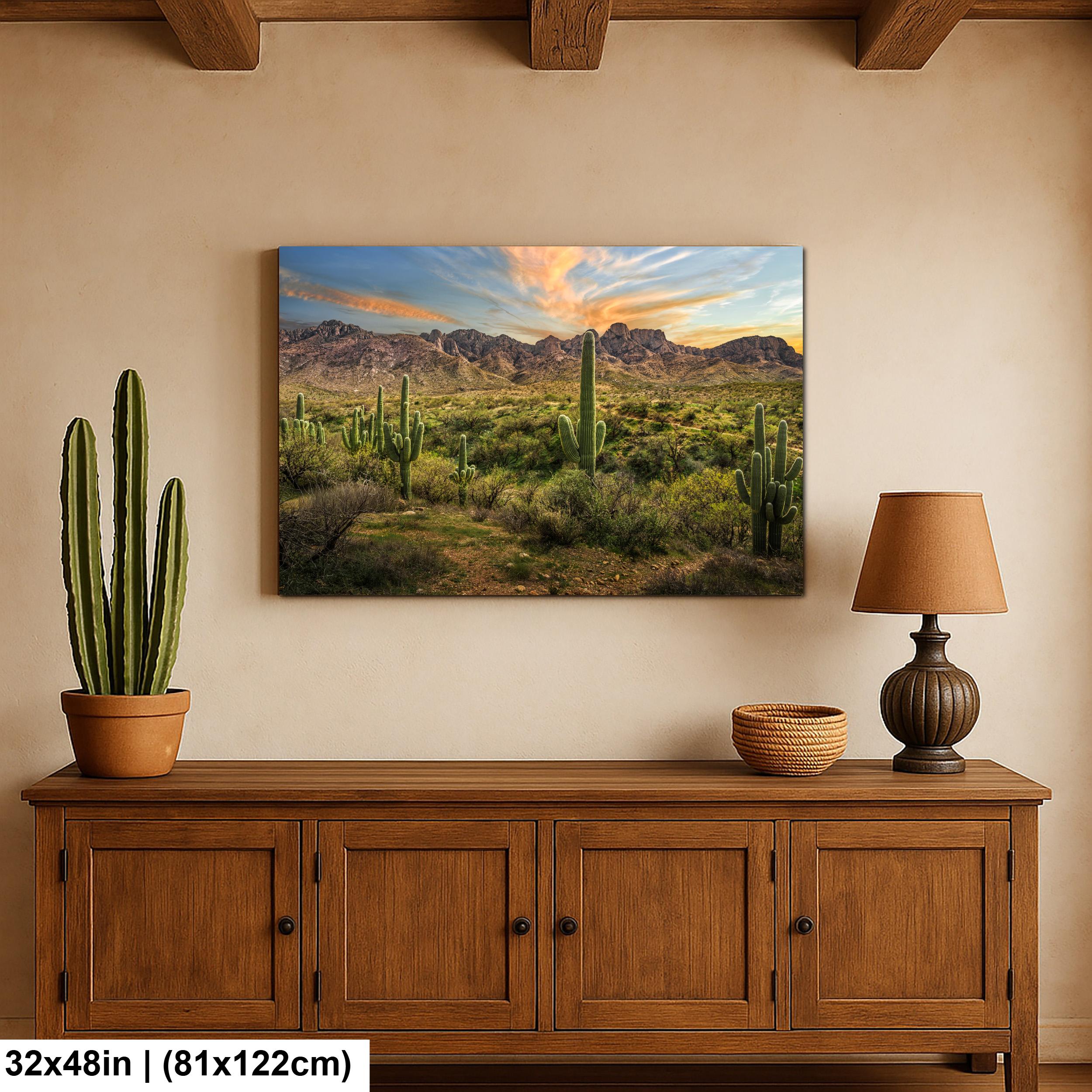 Santa Catalina Mountains with Saguaros Photography Print, Catalina State Park Tucson Arizona Desert Landscape Wall Art