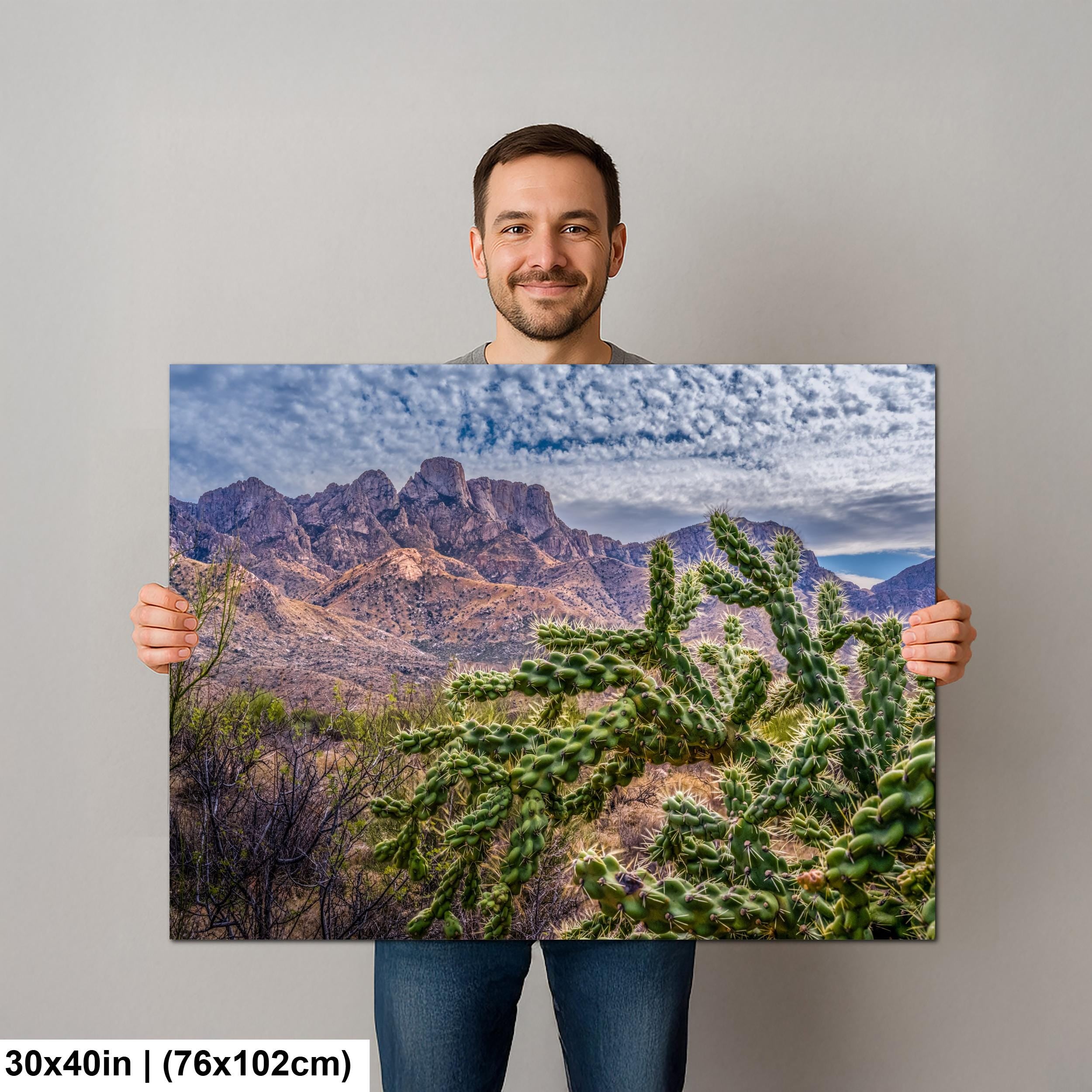 Cholla Cactus Arizona Desert Landscape Photography Wall Art
