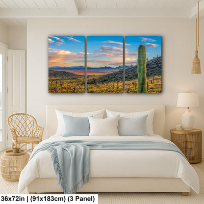 Desert Valley View with Saguaros, Casa Grande Arizona, Photography Wall Art