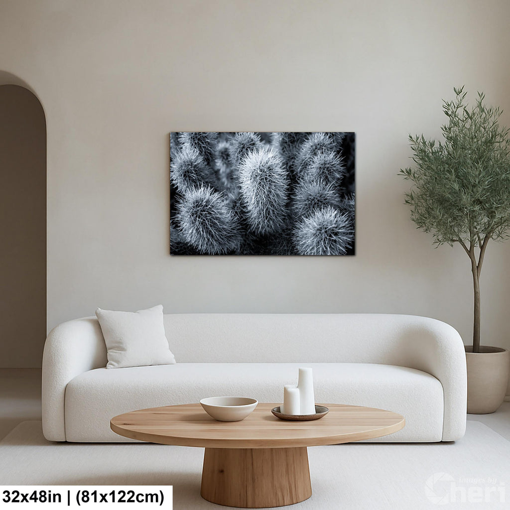 Cholla Cactus Spines Black and White - Saguaro National Park East Tucson Photography Print