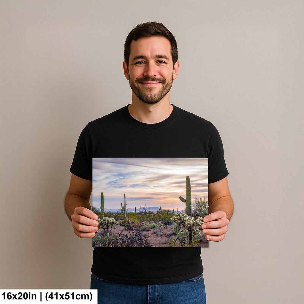 Pastel Desert Sunset with Saguaros and Cholla Tucson Arizona Photography Print