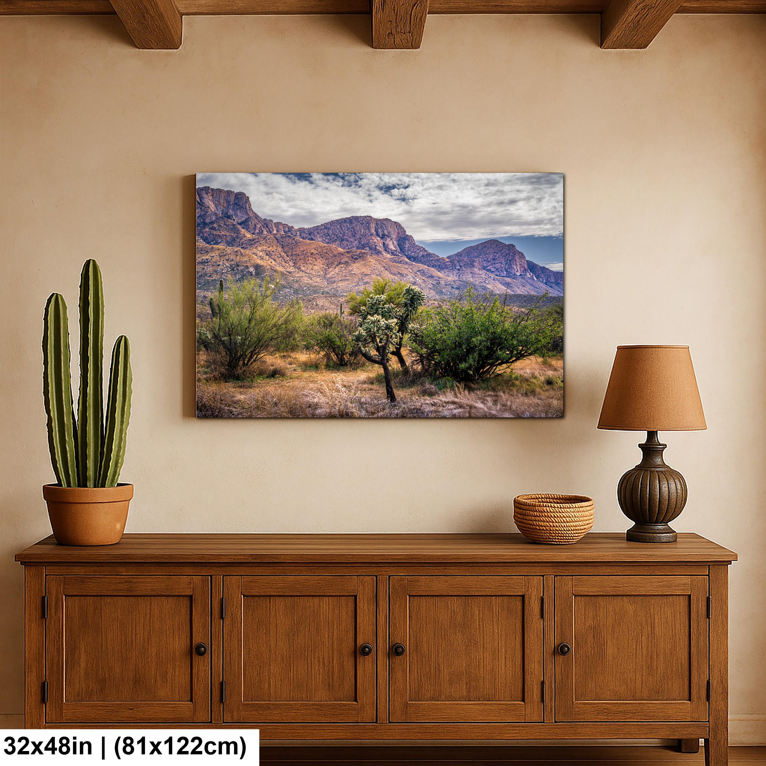 Catalina Mountains Scenic View Arizona Desert Sonoran Landscape Nature Photography Wall Art