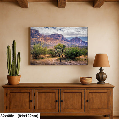 Catalina Mountains Scenic View Arizona Desert Sonoran Landscape Nature Photography Wall Art