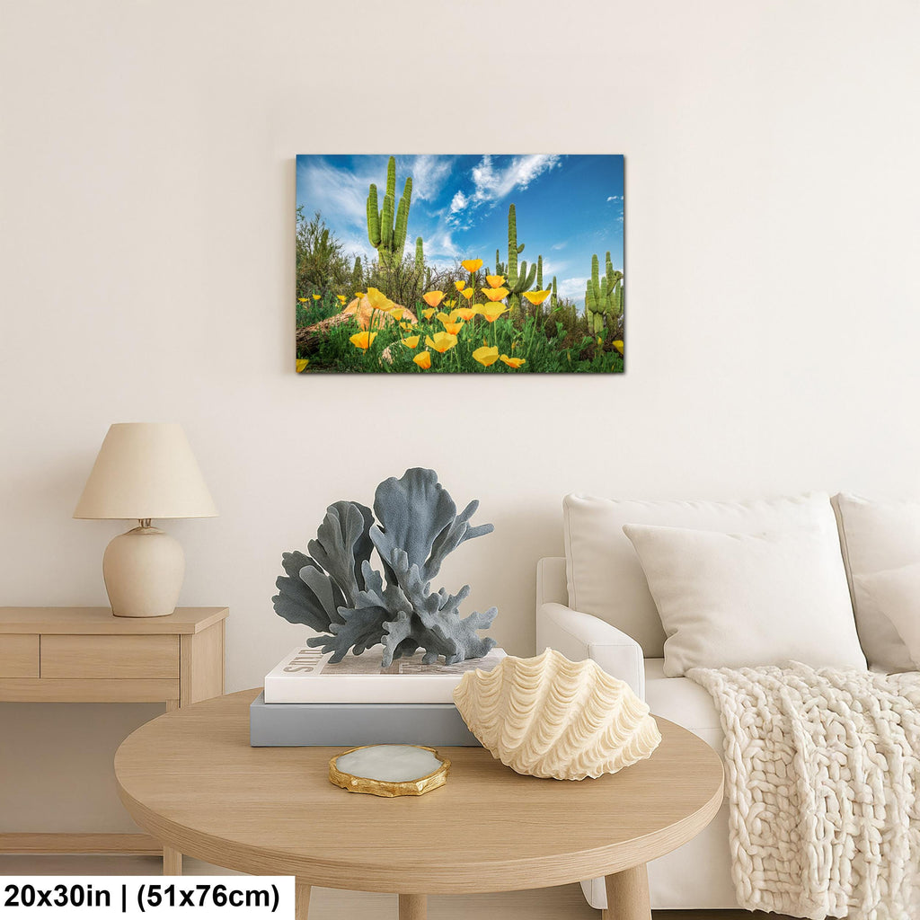 Sonoran Desert Yellow Poppies with Saguaros - Catalina State Park Tucson Arizona Photography Print