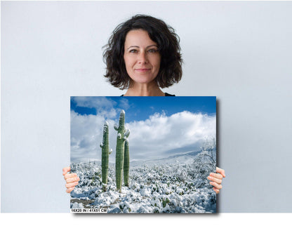 Snowy Saguaro Cactus Print: Tucson Arizona Winter Wonderland