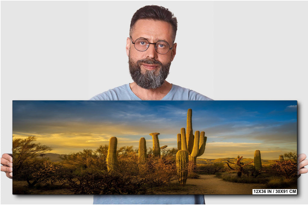 Man holding a panoramic desert landscape with cacti