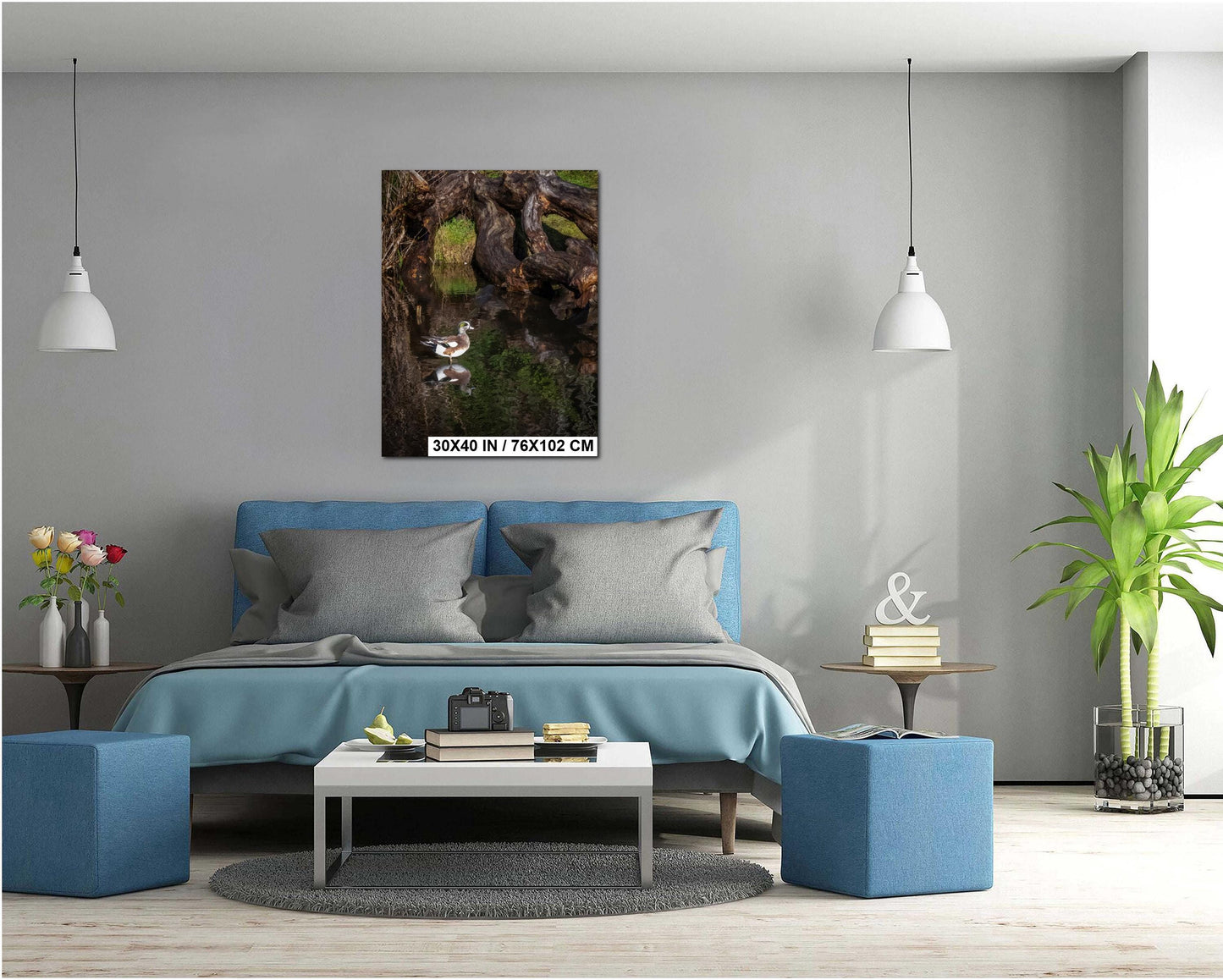 American Wigeon Duck Photo Print: Seattle Pond Wildlife Art