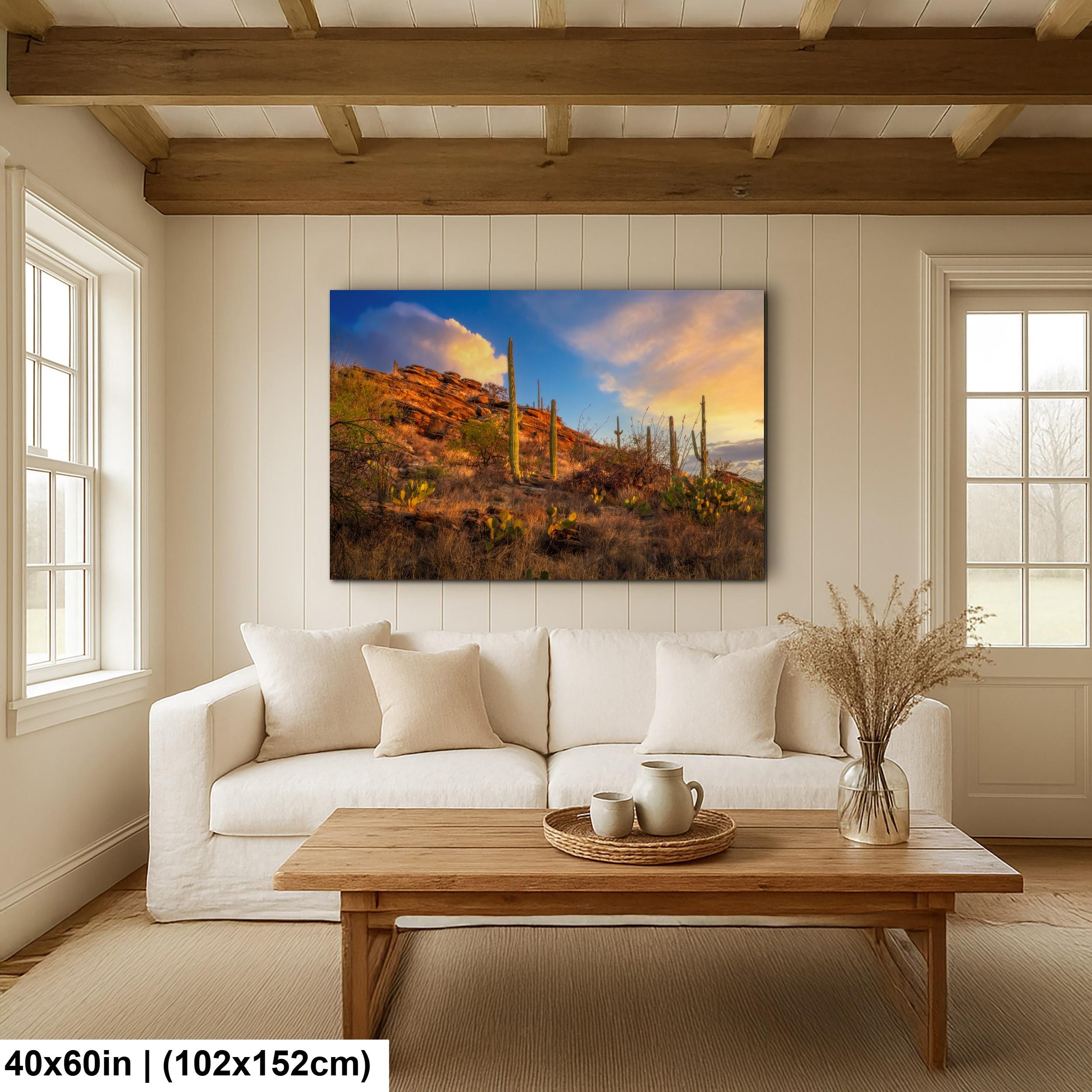 Sonoran Desert Sunset on Rocky Hillside - Saguaro National Park East Tucson Photography Print