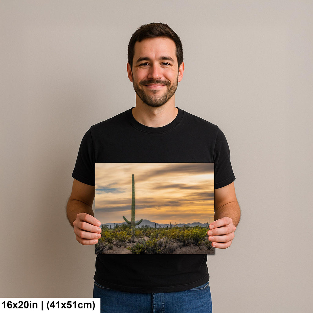 Sonoran Desert Sunset with Saguaro Cactus and Wildflowers Tucson Arizona Photography Print