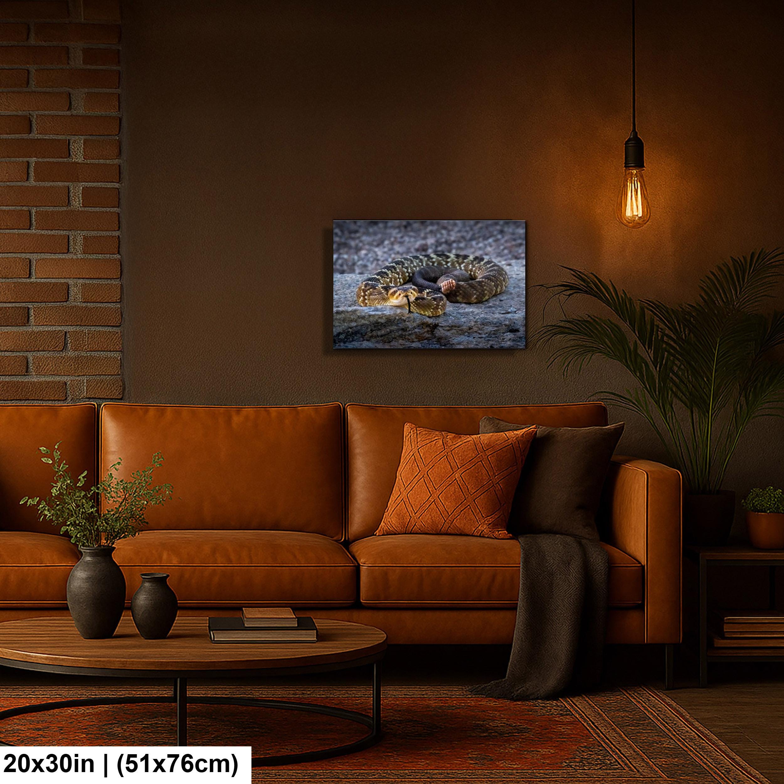 Black-Tailed Rattlesnake Print – Tucson Desert Wildlife Art | Ready to Hang Canvas
