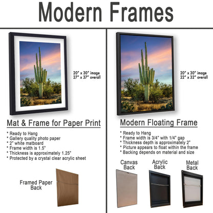 Oro Valley Saguaro at Dusk Photography Print, Tucson Arizona Desert Landscape, Southwestern Wall Art, Cactus Decor