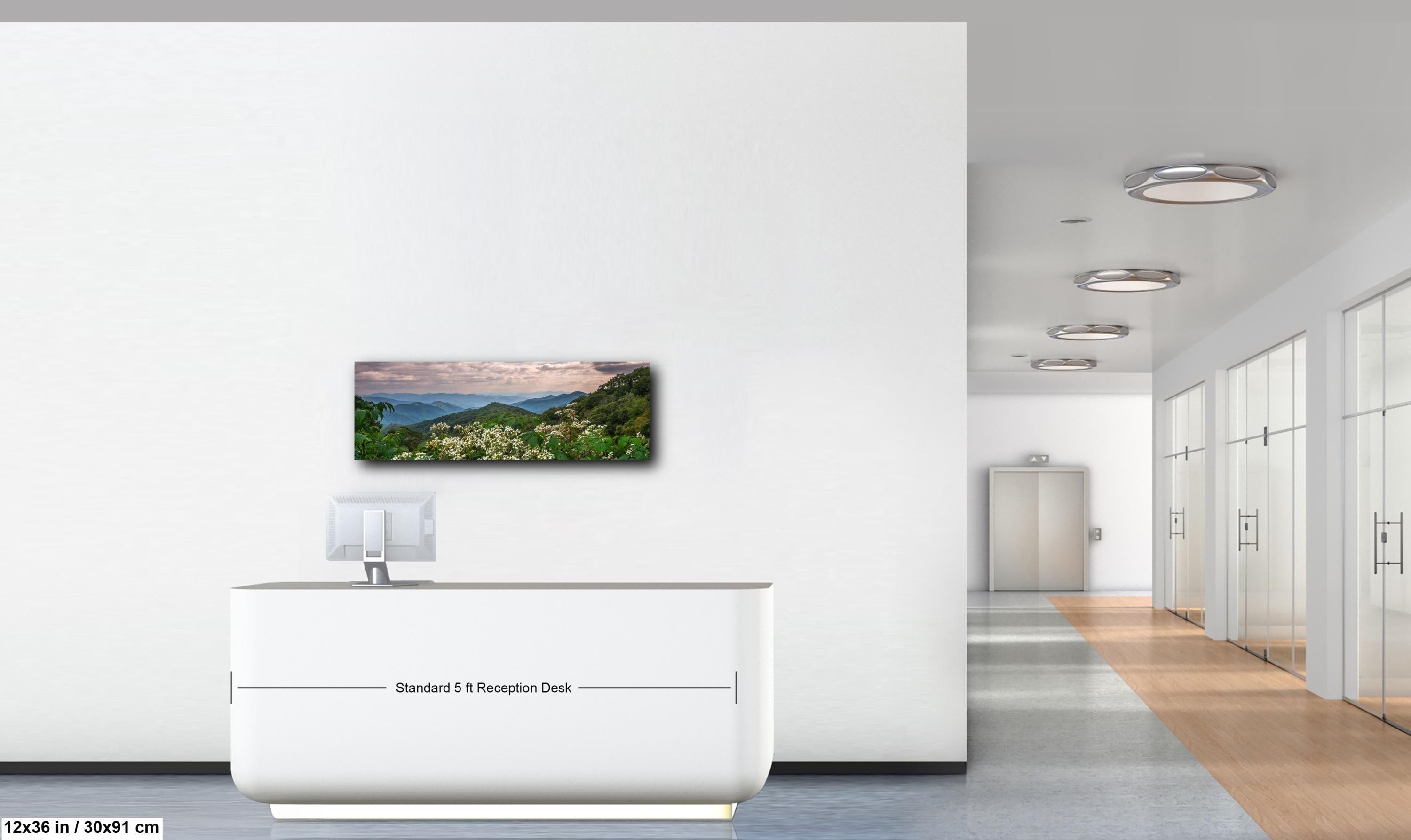 Mountain Meadow: Wildflowers Great Smoky Mountains Tennessee Photo Wall Art