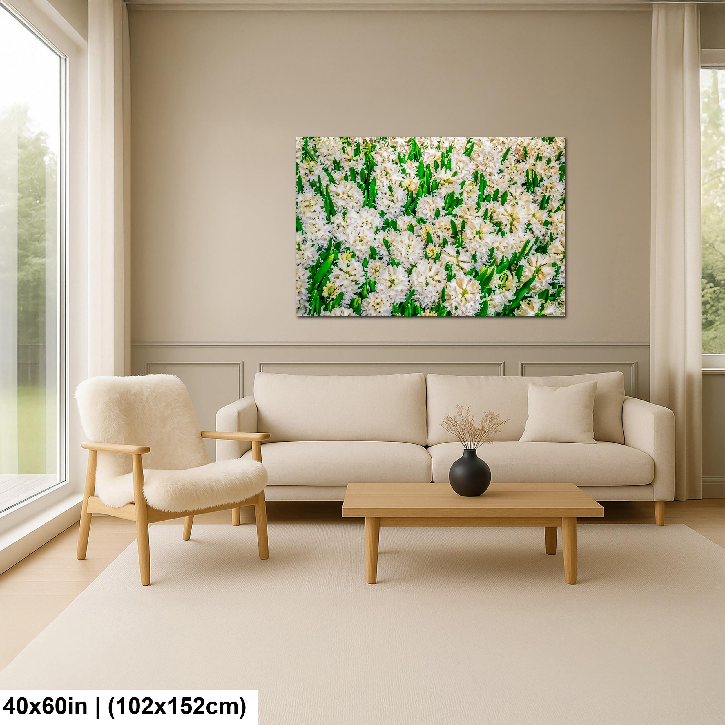 Spring Whites: White Hyacinth Flowers Botanical Photography Wall Art