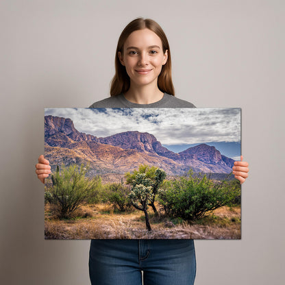 Catalina Mountains Scenic View Arizona Desert Sonoran Landscape Nature Photography Wall Art
