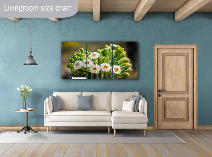 Blooming Arizona Saguaro Cactus Flowers of Spring Wall Art Print Aluminum/Acrylic/Metal/Canvas Tucson Arizona Nature Nature Photography