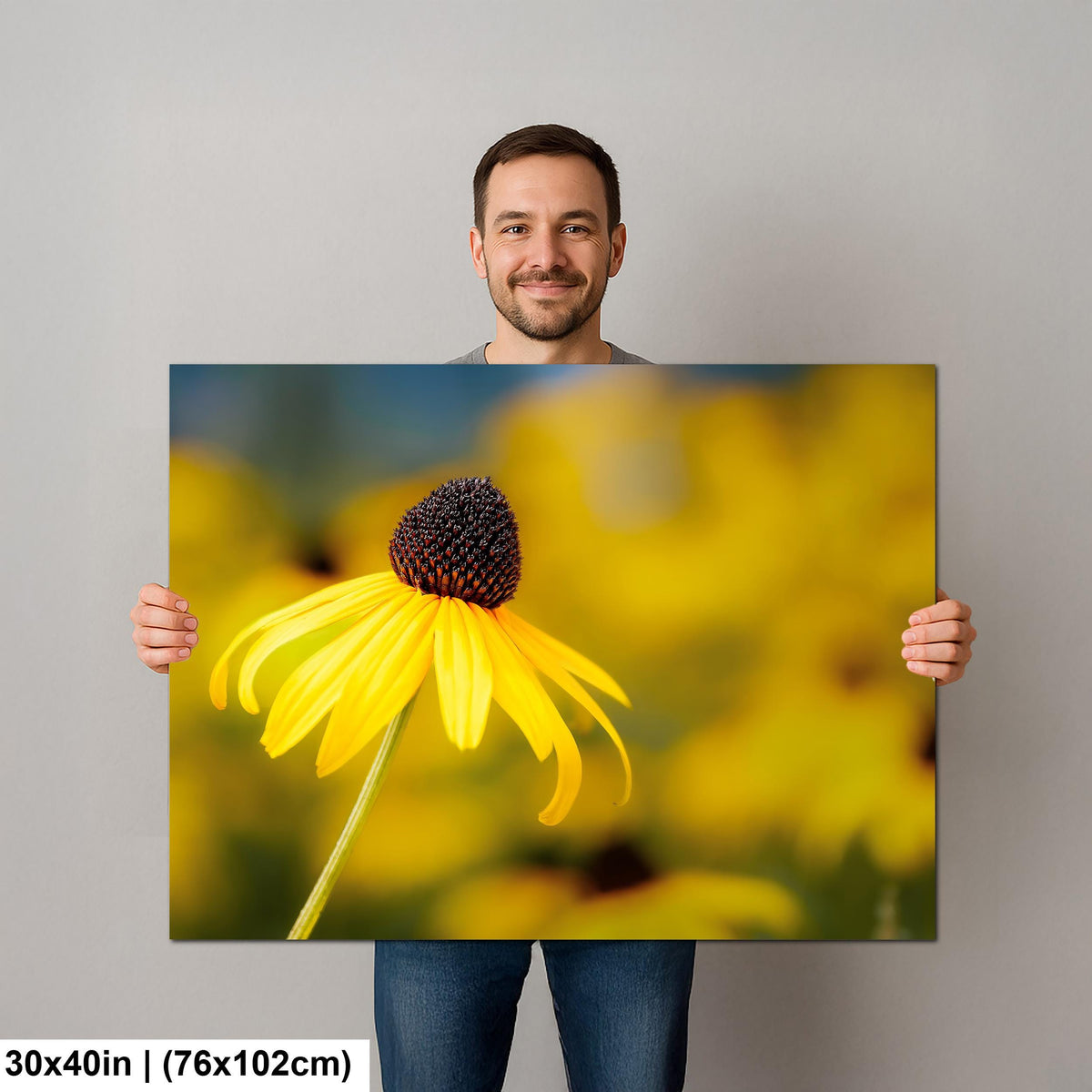 Sunlit Petals: Black-Eyed Susans Yellow Floral Photography Wall Art