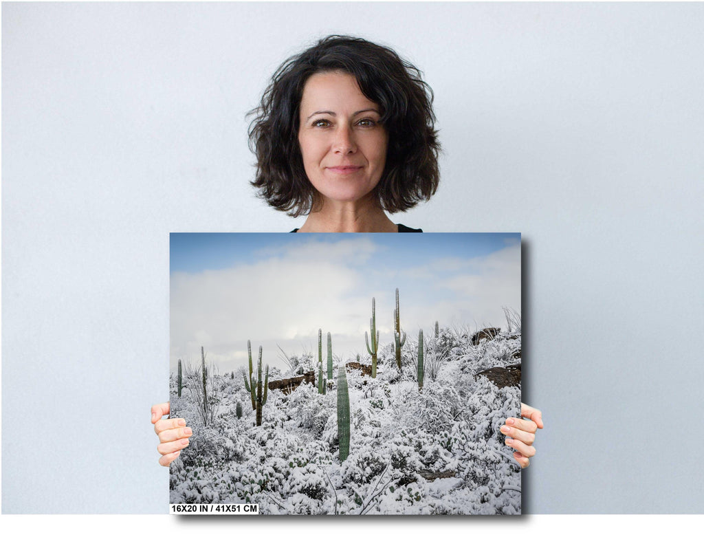 Saguaro National Park Winter Snow Cactus Landscape Art Print