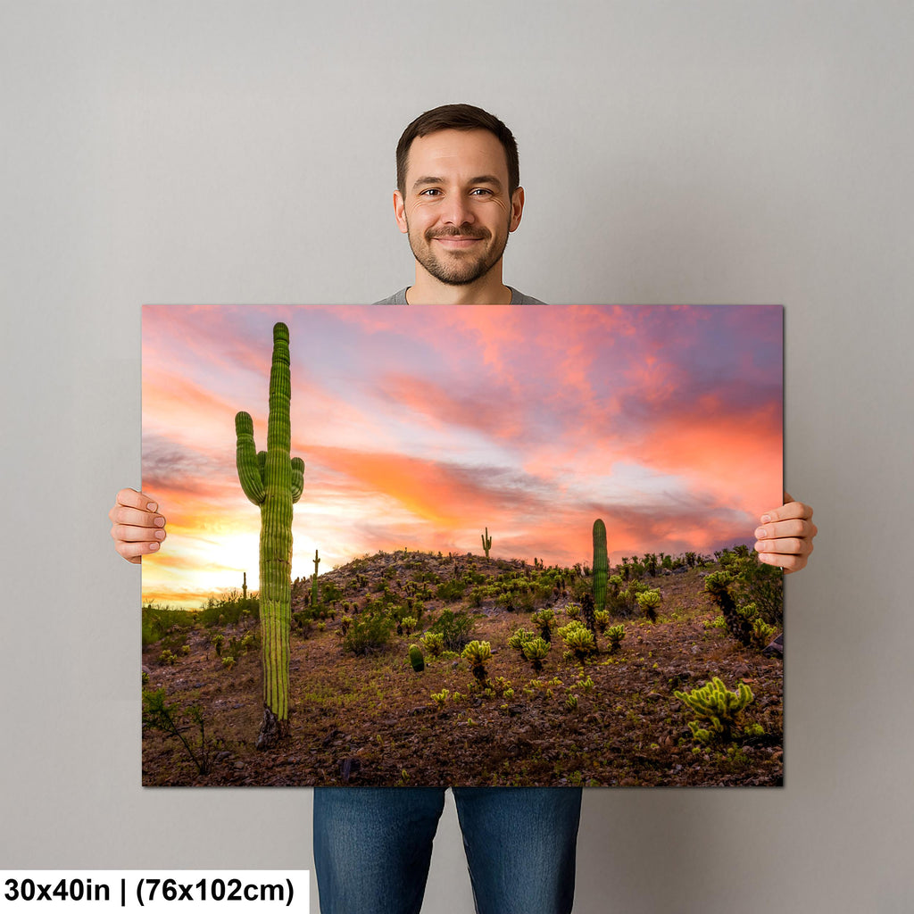 Towering Saguaro at Sunset - Sonoran Desert Casa Grande Arizona Photography Print