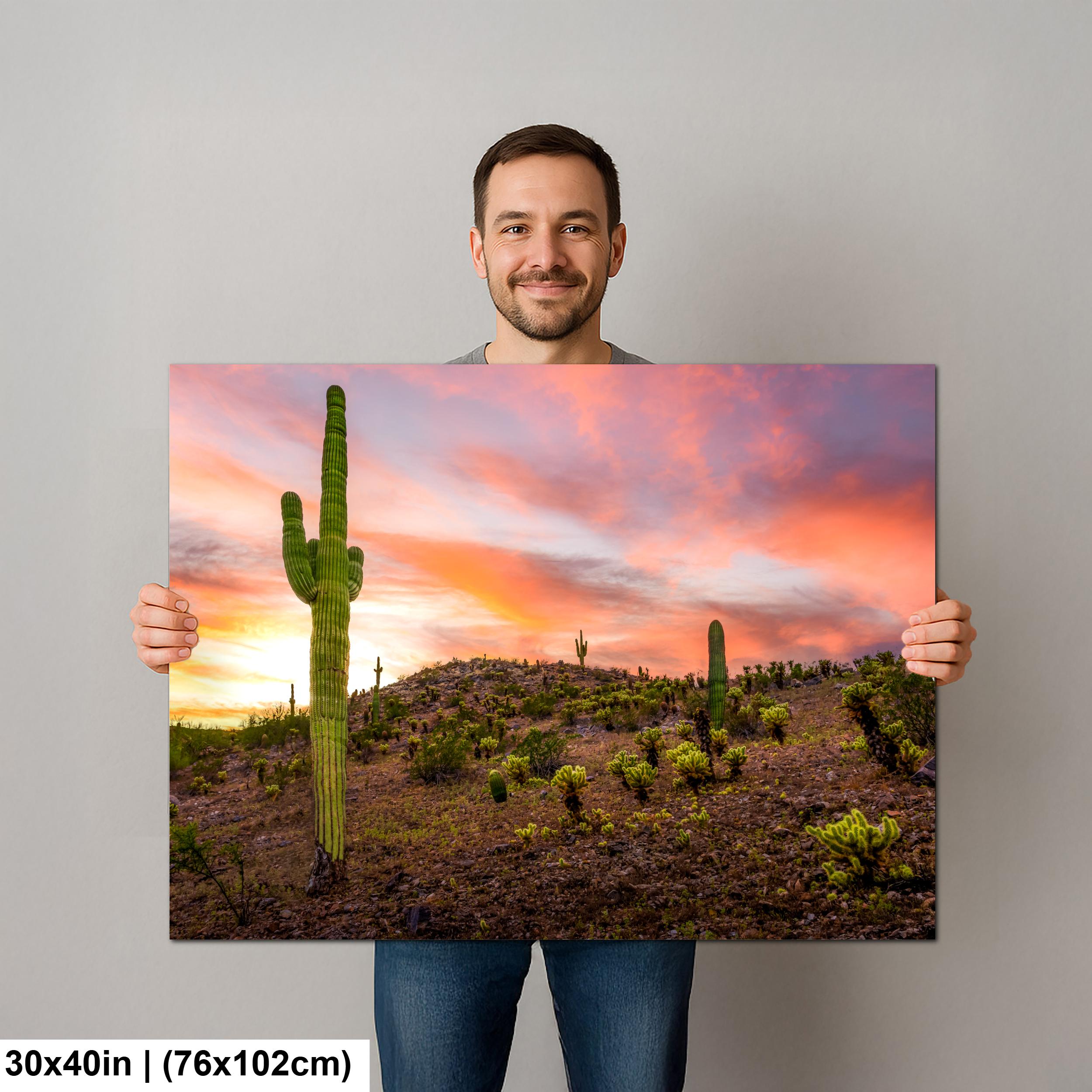 Towering Saguaro at Sunset - Sonoran Desert Casa Grande Arizona Photography Print