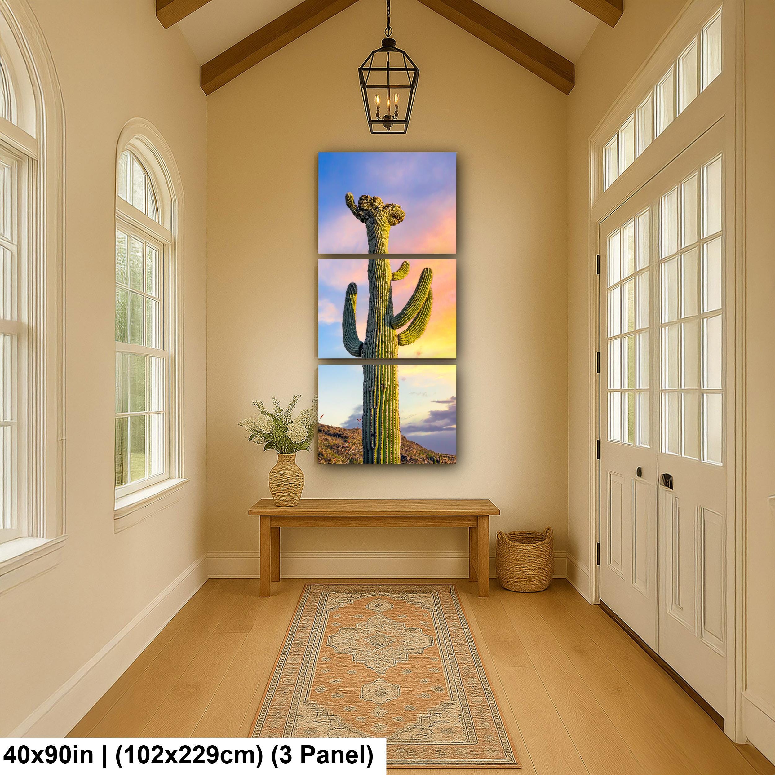 Saguaro Cactus at Sunset - Saguaro National Park East Tucson Arizona Photography Print