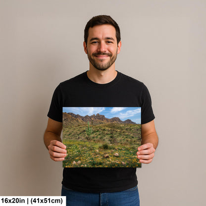 Arizona Desert Spring Wildflowers, Saguaro Mountain Landscape Wall Art, Sonoran Nature Photography Print