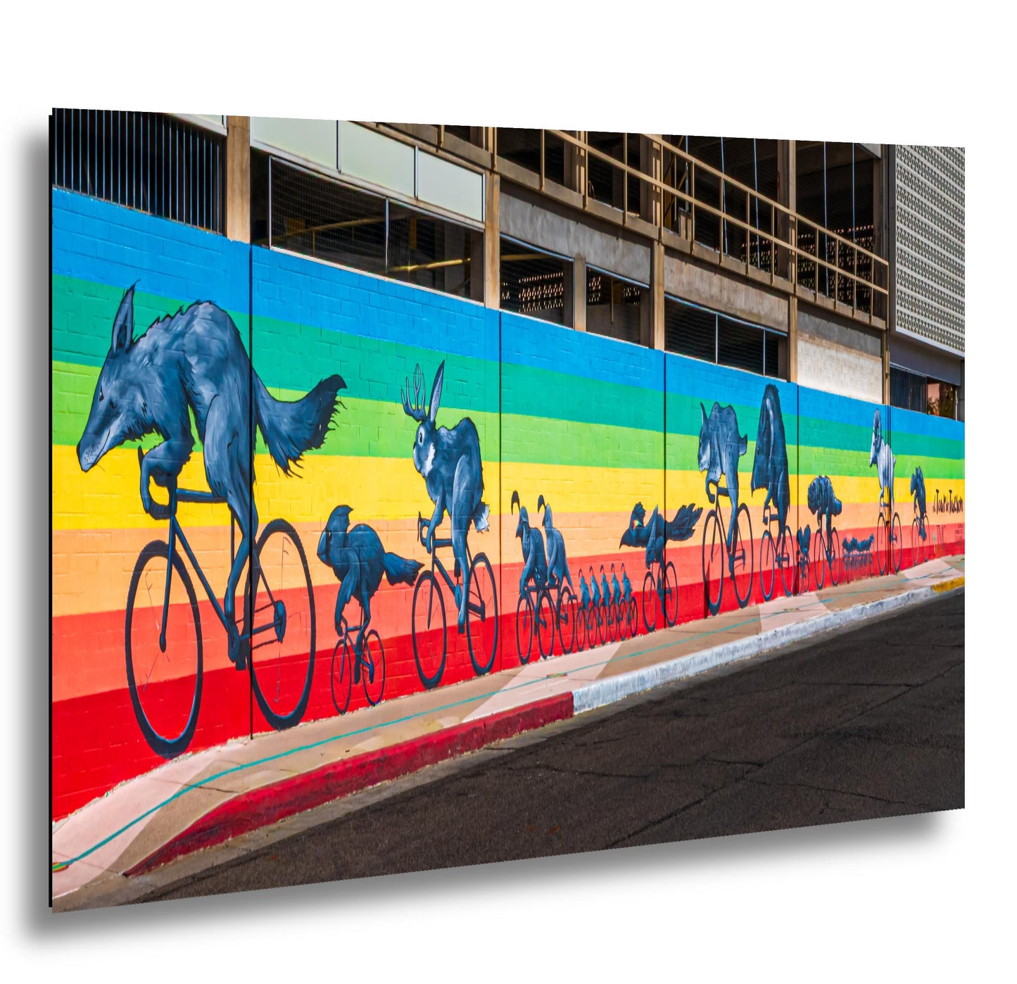 Tucson Mural - Sonoran Desert Animals Bicycle Mural With Rainbow Stripes, Photography Print Wall Art