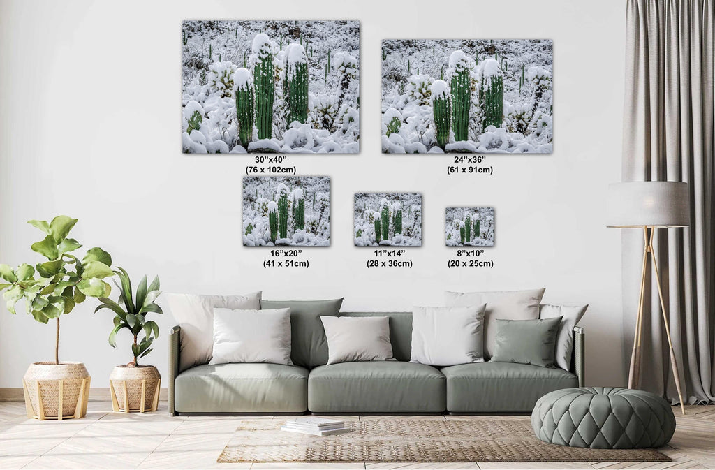 Snow Capped Saguaros Desert Wall Art – Arizona Photography Print – Ready to Hang Canvas