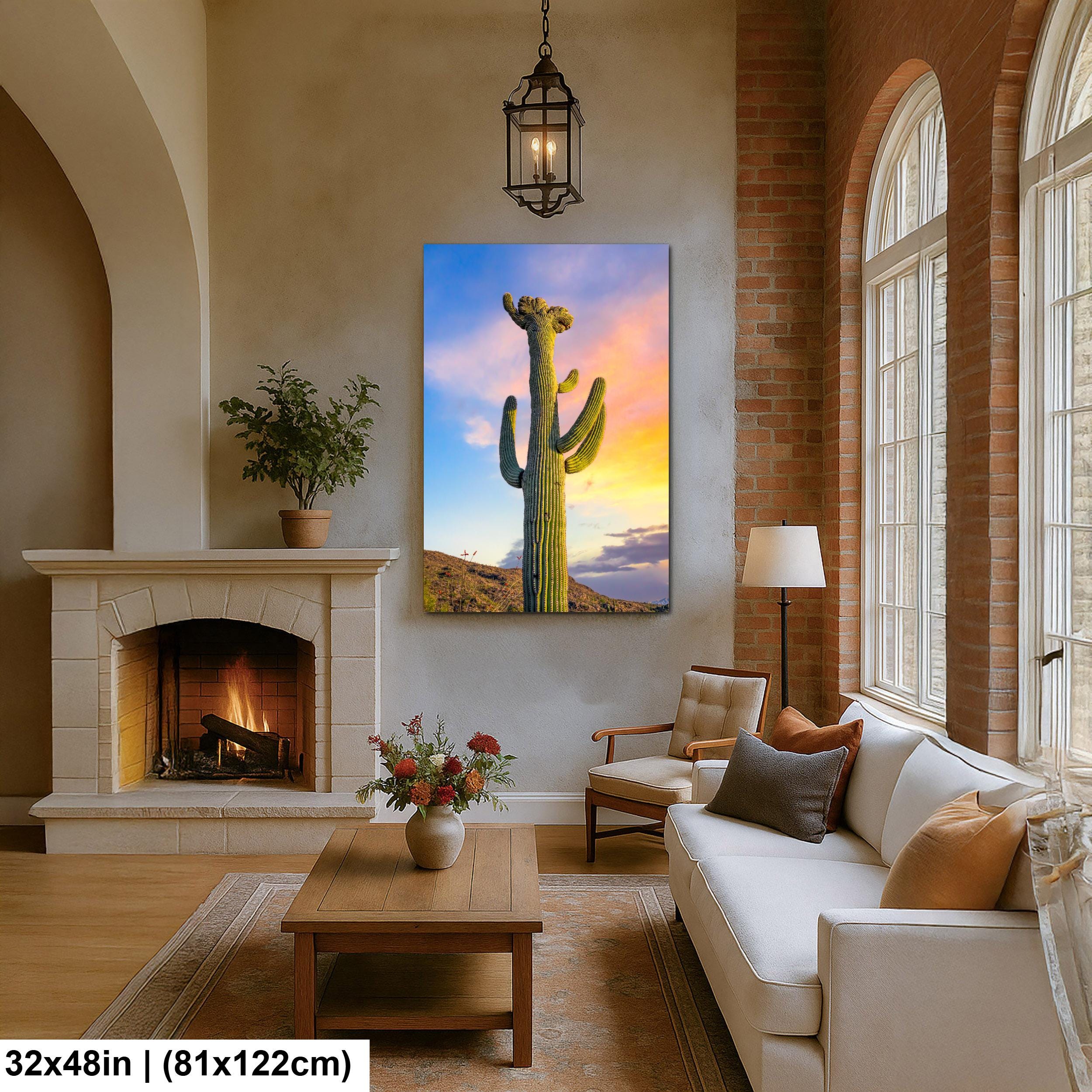 Saguaro Cactus at Sunset - Saguaro National Park East Tucson Arizona Photography Print