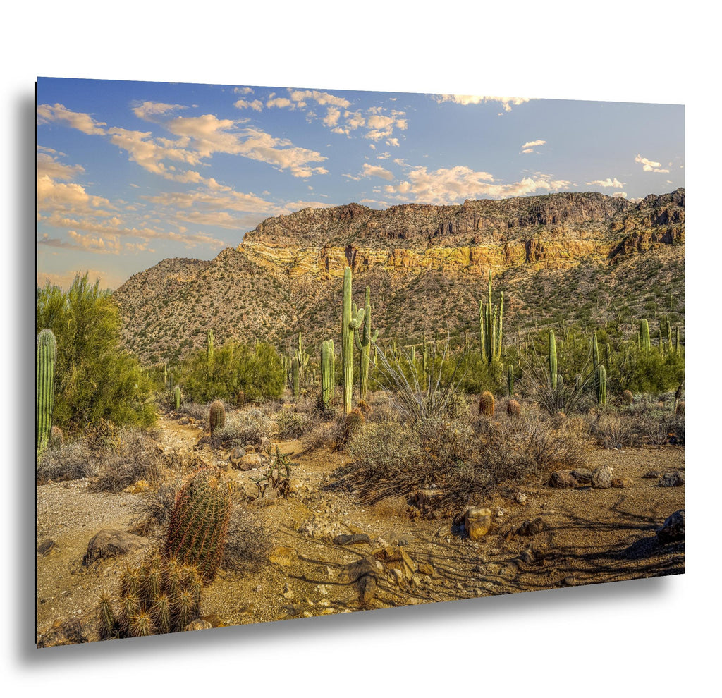 Sonoran Desert Saguaros and Mountain Ridge Arizona Photography Print, Southwest Wall Art