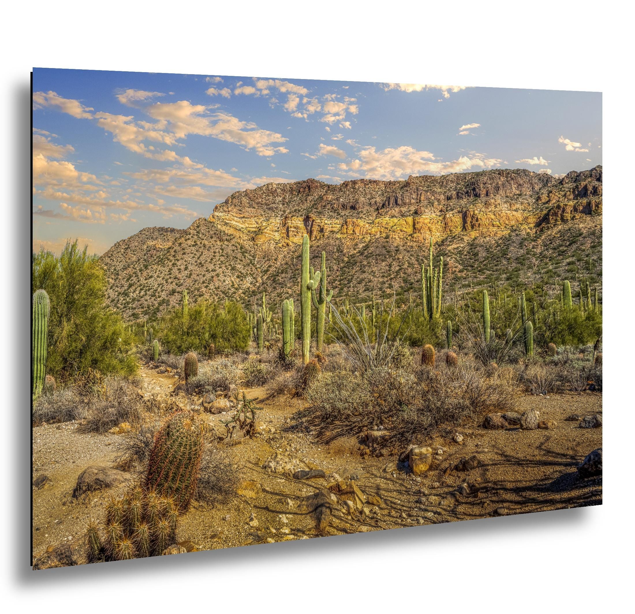 Sonoran Desert Saguaros and Mountain Ridge Arizona Photography Print, Southwest Wall Art