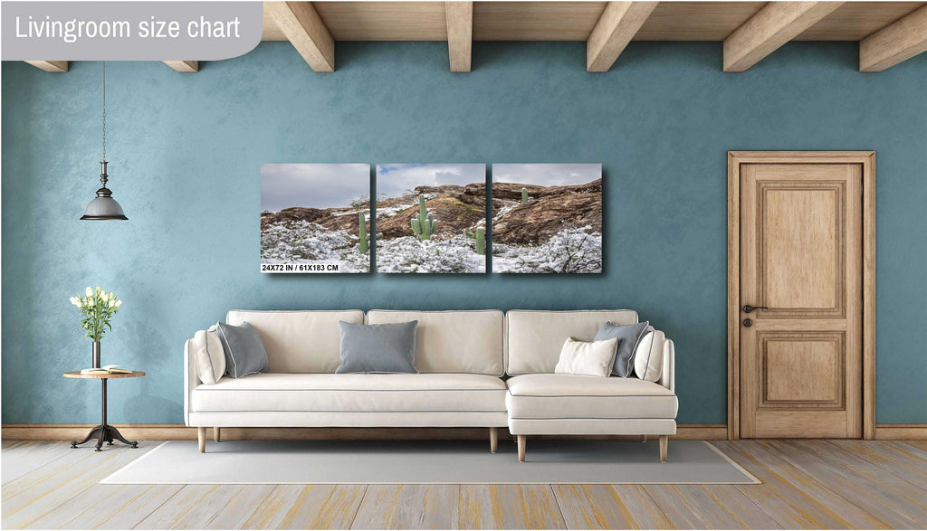 Saguaro National Park Winter Print: Tucson Arizona Desert Snow Scene