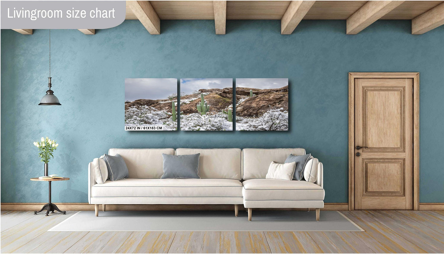 Saguaro Cactus Print – Winter Cactus Photo | Snow in Desert Wall Art Decor