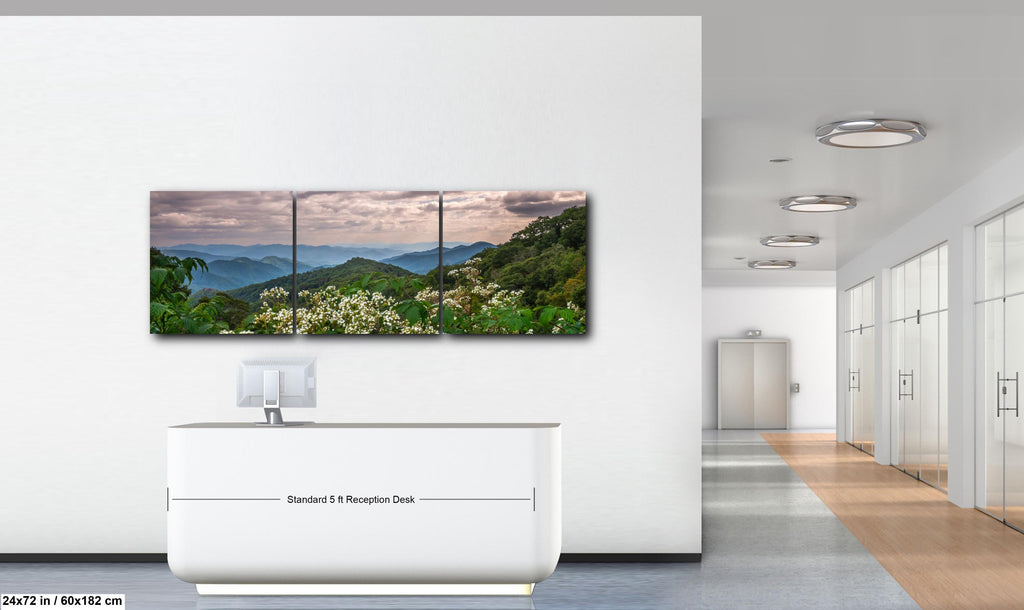 Mountain Meadow: Wildflowers Great Smoky Mountains Tennessee Photo Wall Art