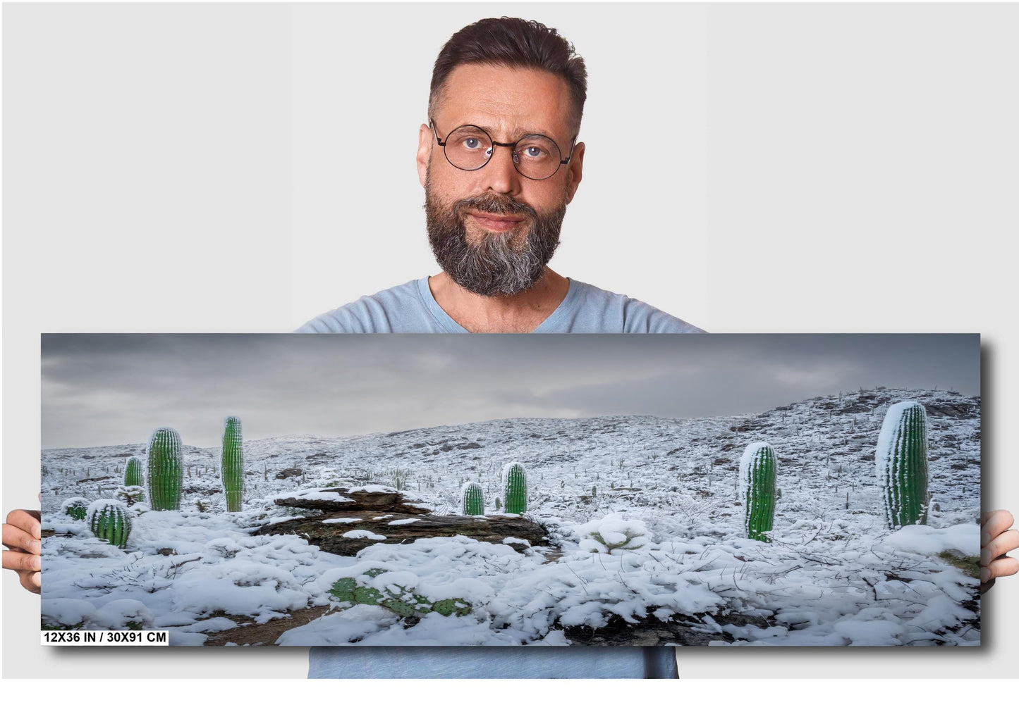 Snow-covered saguaro cacti in Arizona's desert, showcasing a rare winter scene with mountains in the background.