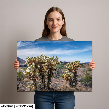 Teddy Bear Cholla Cactus Sonoran Desert Arizona Photography Print, Southwest Wall Art