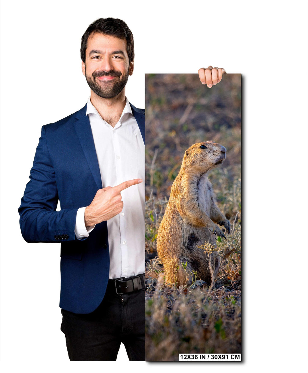 Prairie Dog On Alert Badlands Wildlife Photography Print Canvas Aluminum Metal Acrylic Fine Art Wall Art for Nature and Wildlife
