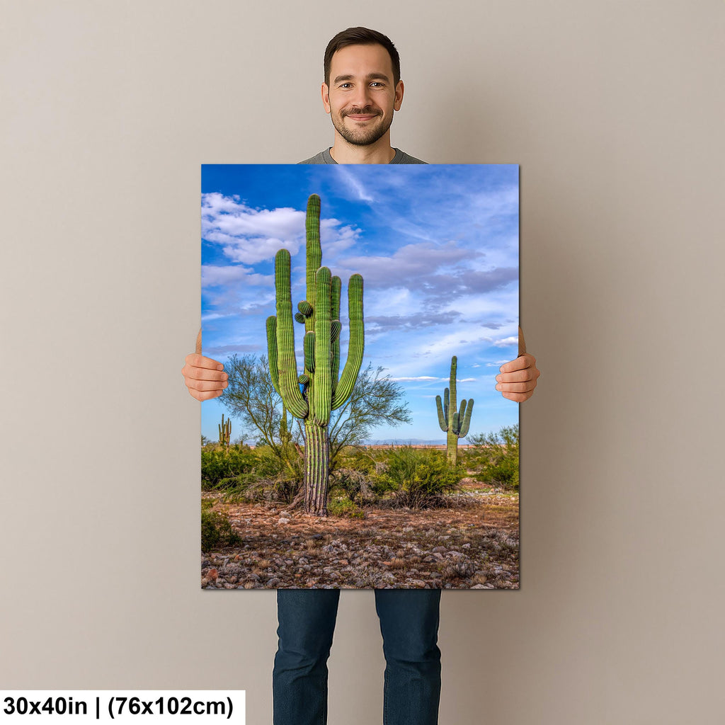 Tall Saguaros in the Sonoran Desert, Casa Grande Arizona, Photography Wall Art