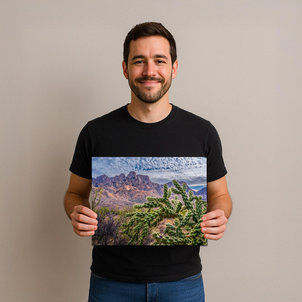 Cholla Cactus Arizona Desert Landscape Photography Wall Art
