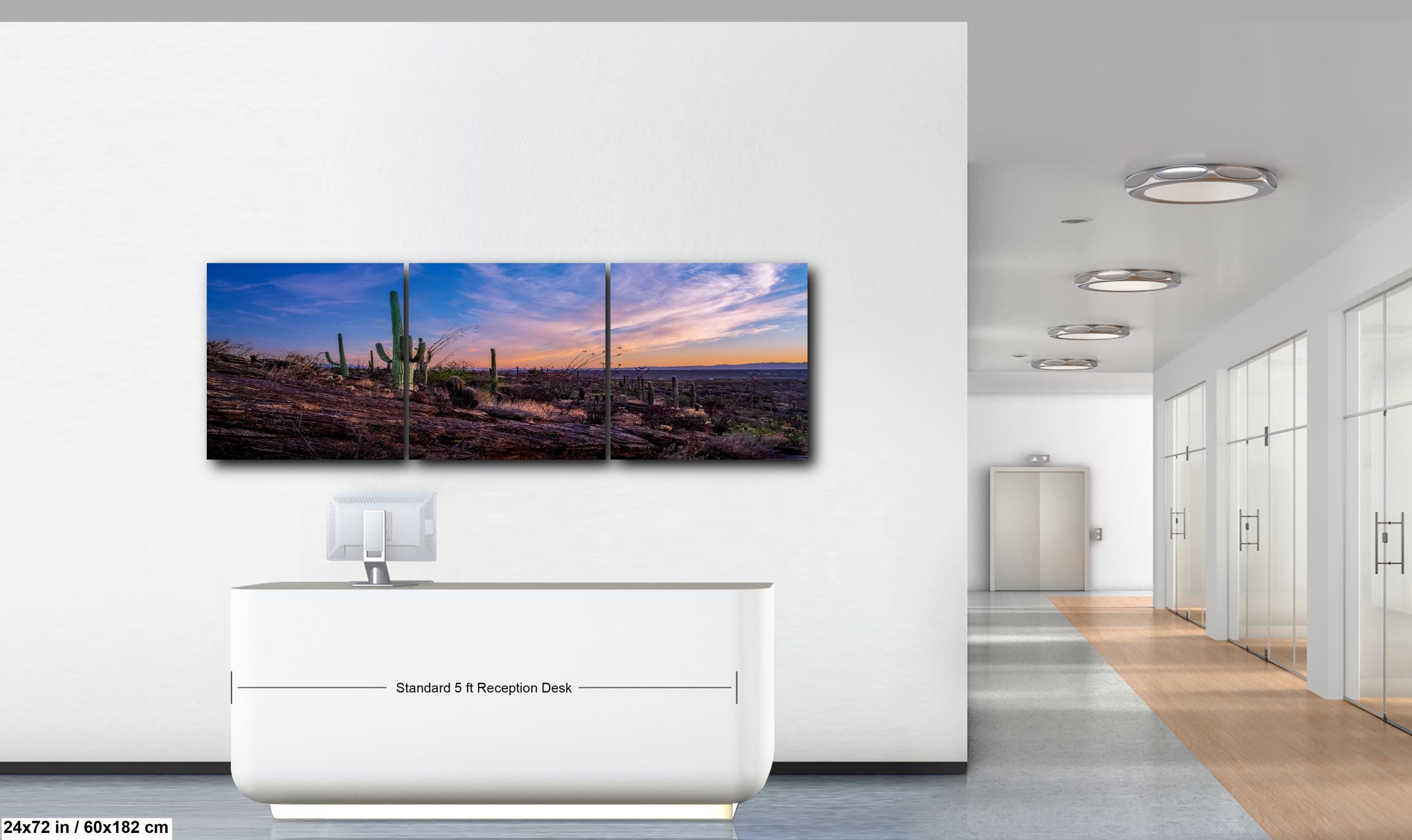Rocky Sonoran Desert Hillside Sunset with Saguaros - Saguaro National Park East Tucson Photography Print
