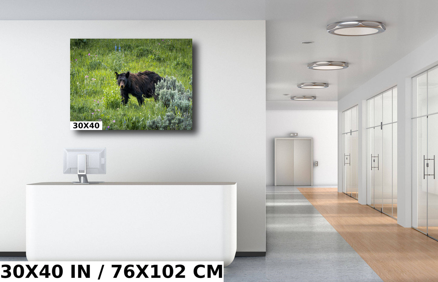 Bear Essentials: Black Bear of Yellowstone National Park Metal Canvas Print Wildlife Wall Art Animal Photography