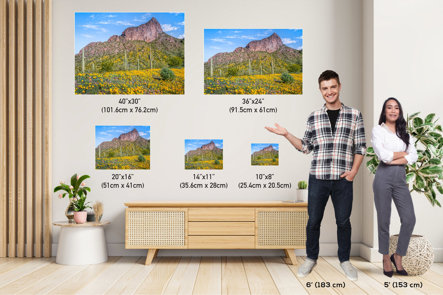 Picacho's Palette: Orange Yellow Poppies Wall Art Picacho Peak State Park Wildflower Metal Acrylic Print Arizona Landscape